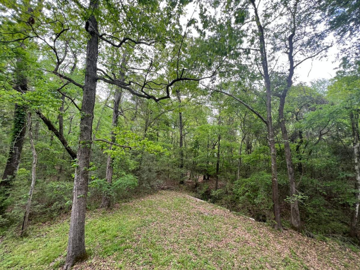 2 Bdrm Treehouse Hideout- Lake Conroe With Boat Ramp Montgomery Bagian luar foto